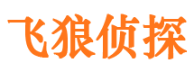 中方侦探公司